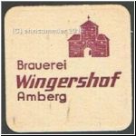 ambergwing (7).jpg